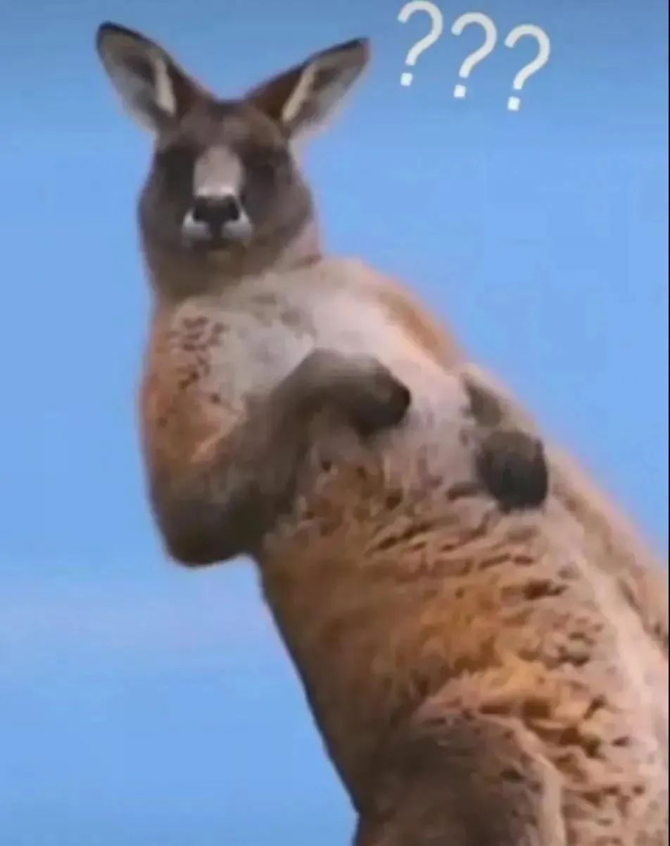 爱情动作片看多了,会变成傻子吗?